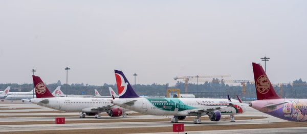 Comment organiser un camping pour observer les étoiles en région déserte?